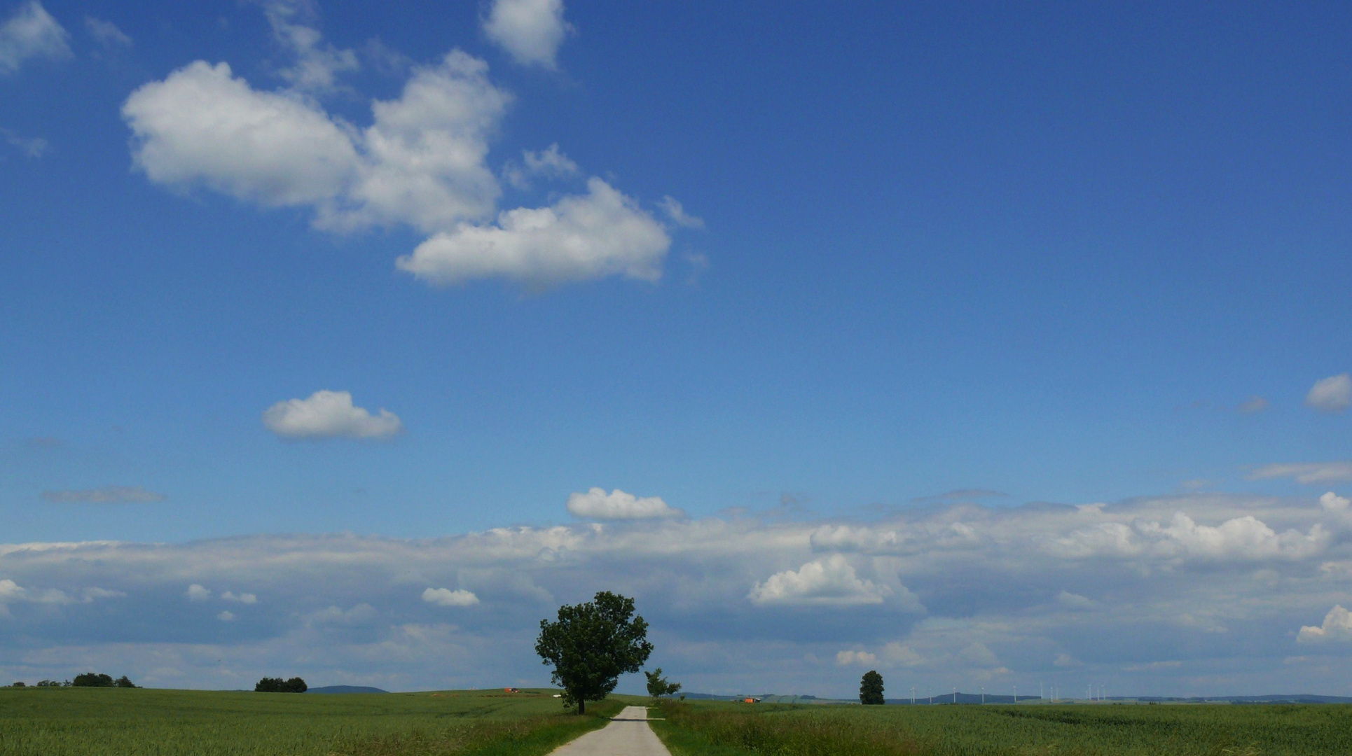 Mittelweg