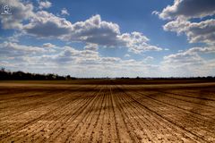 Mitten auf das Feld