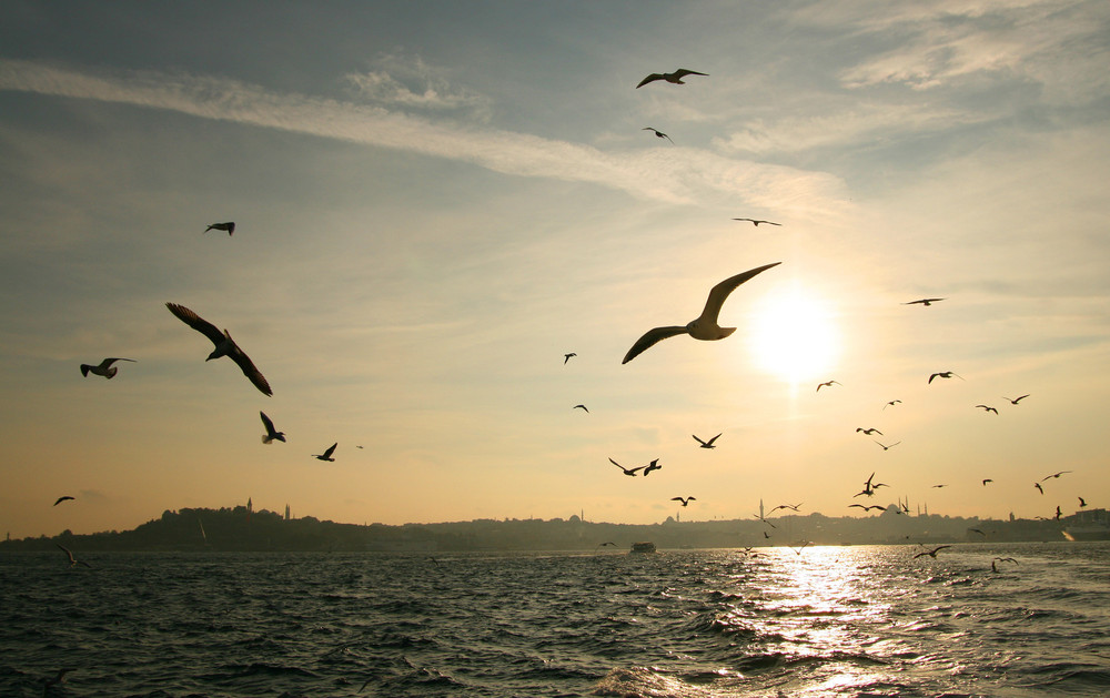 Mitten auf dem Bosporus