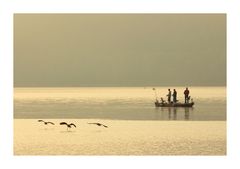 Mitten auf dem See