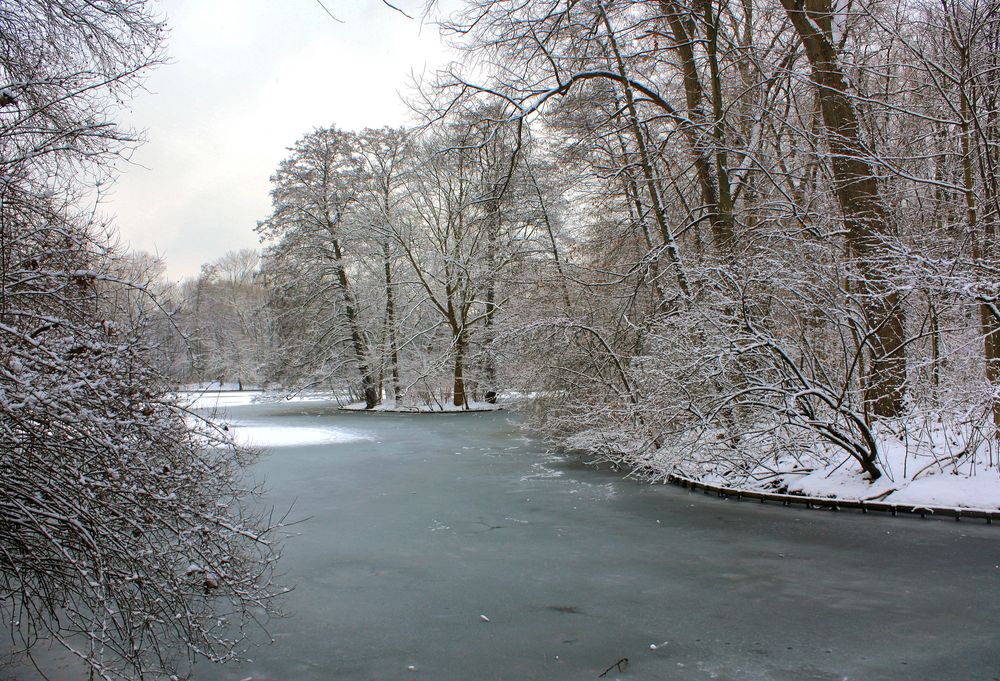 Mitten auf dem See