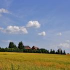 mitten auf den feld