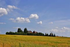 mitten auf den feld