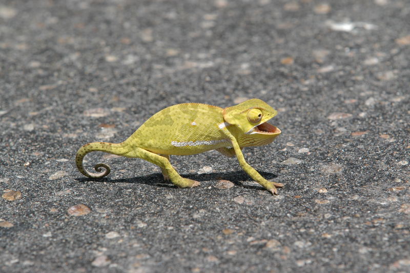 Mitten auf der Strasse !!!!