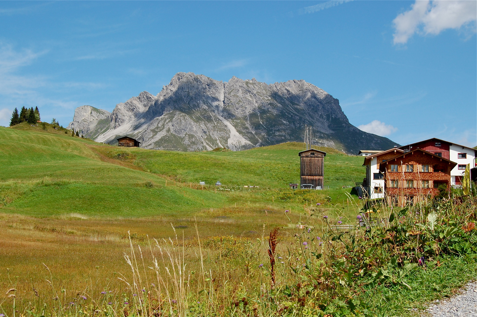 Mitten "auf der Wiese" in Oberlech…