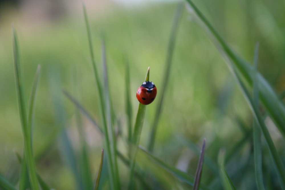 mitten drin...