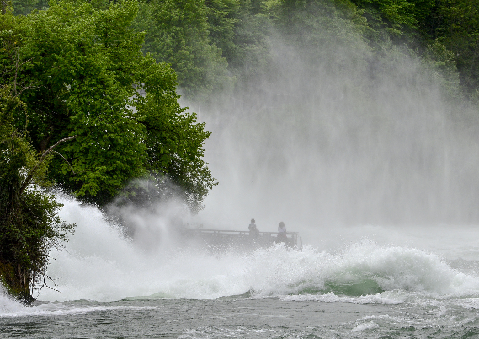 mitten drin im Rheinwasser