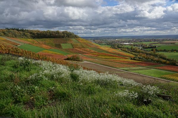 mitten drin im Zabergäu ....