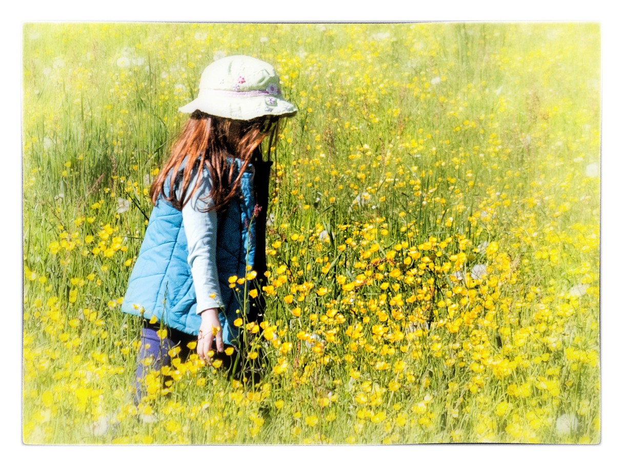 Mitten drin in der Frühlingswiese