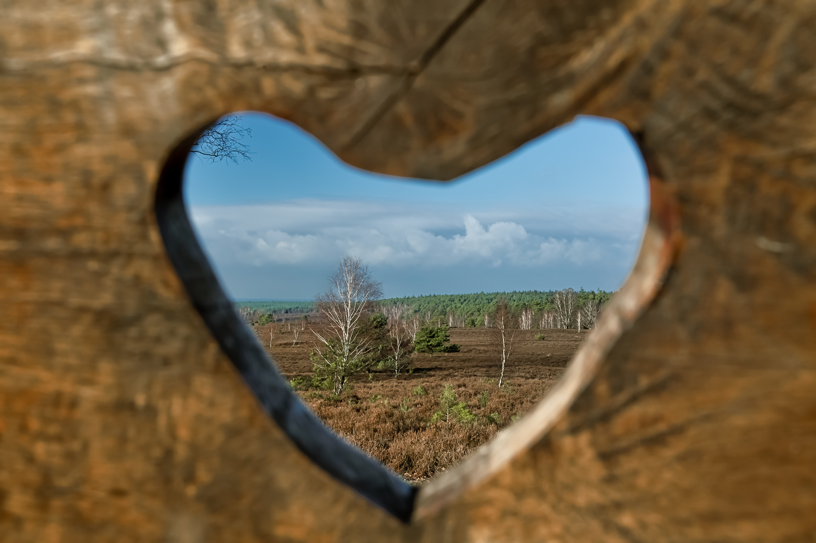 mitten durchs Herz fotografiert ....