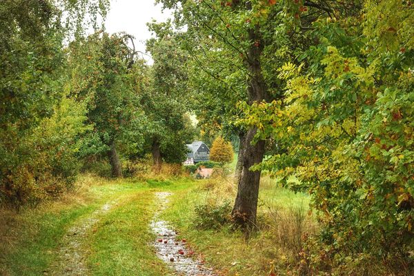 mitten hinein in den Herbst ....