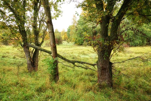 mitten hinein in den Herbst ....