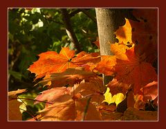 Mitten hinein in den Herbst