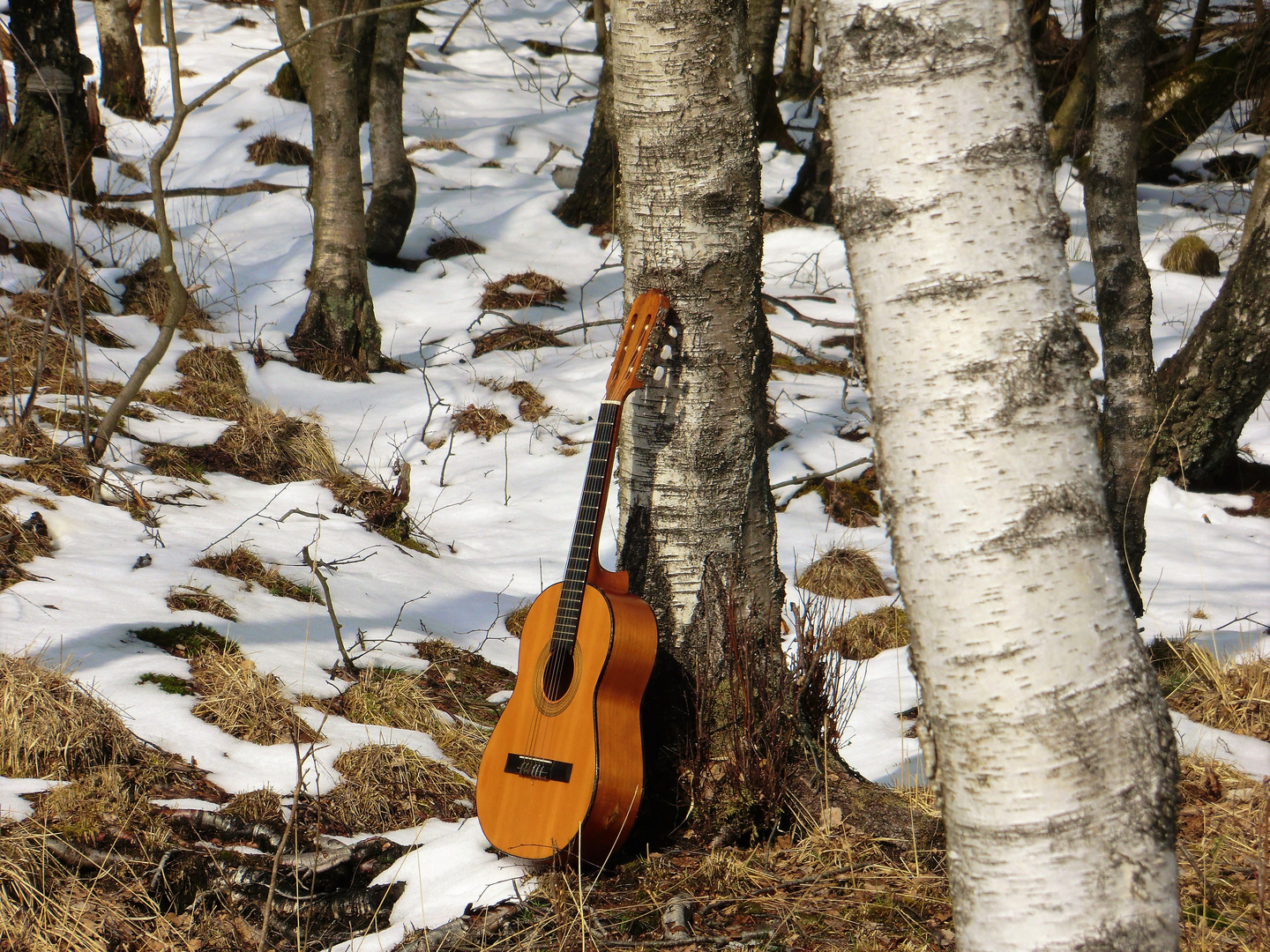 Mitten im Aprilwetter