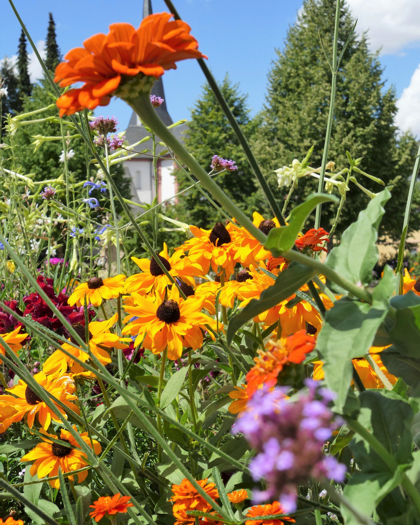 mitten im Blumenbeet