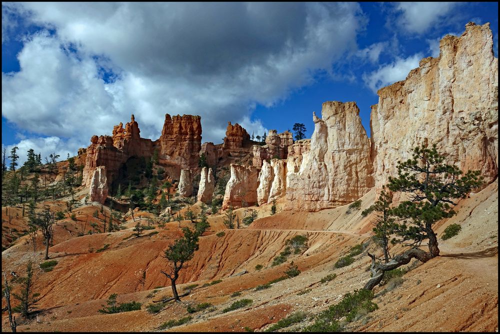 Mitten im Bryce Canyon