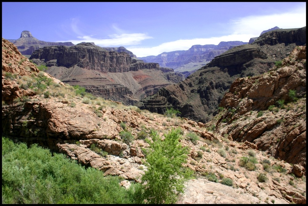 Mitten im Canyon