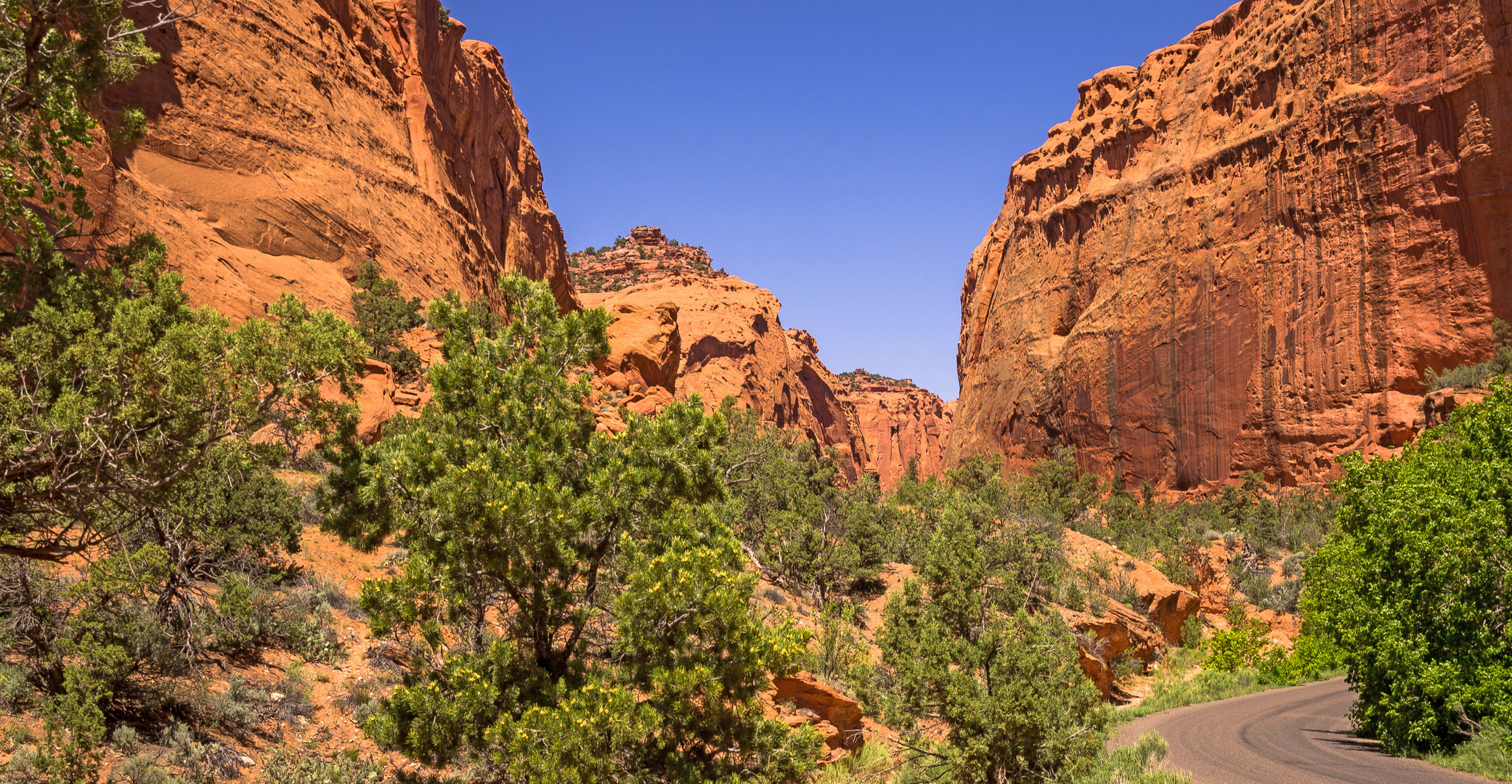 Mitten im Canyon