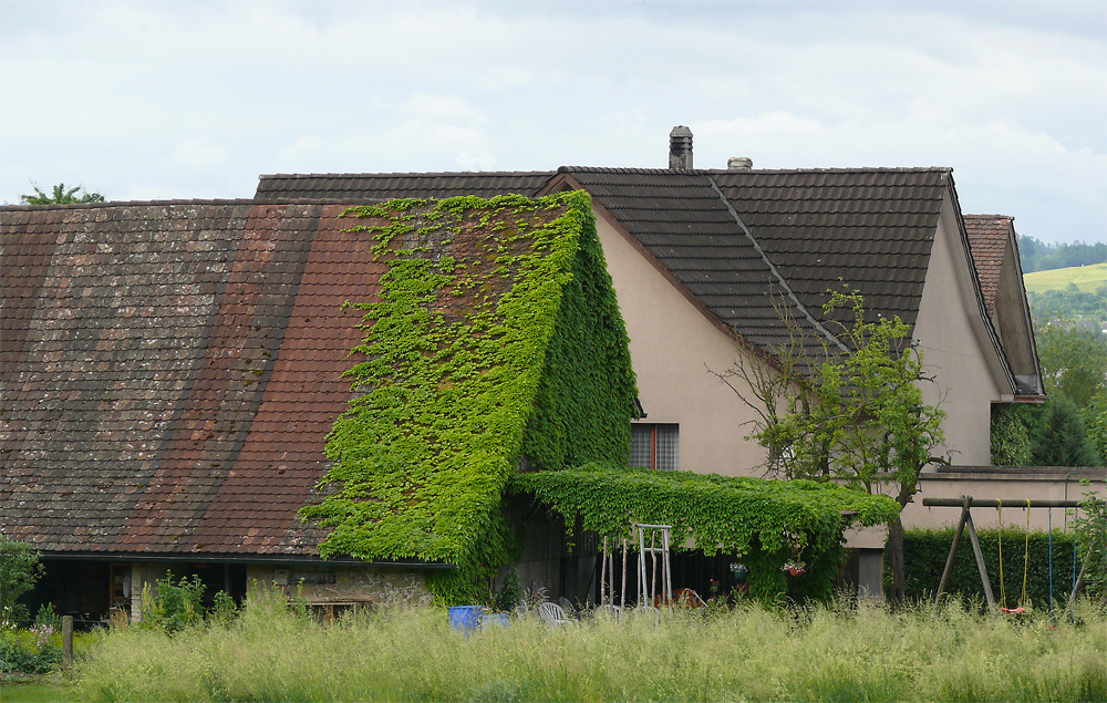 mitten im Dorf