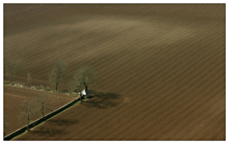 Mitten im Feld....