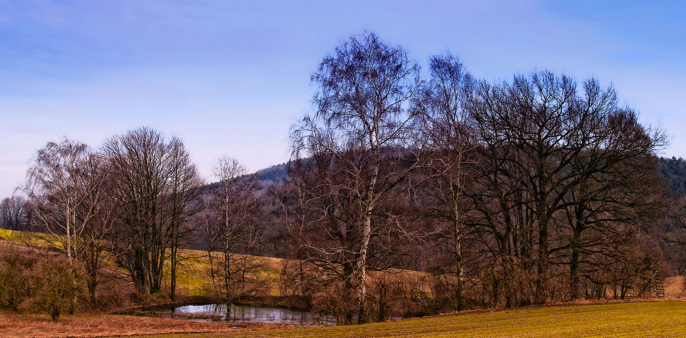 mitten im feld