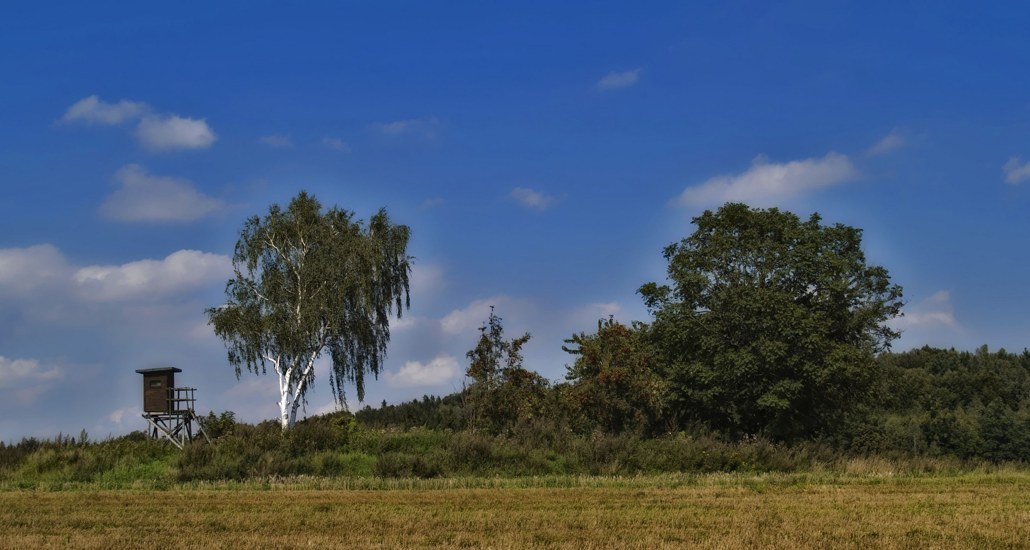 mitten im feld