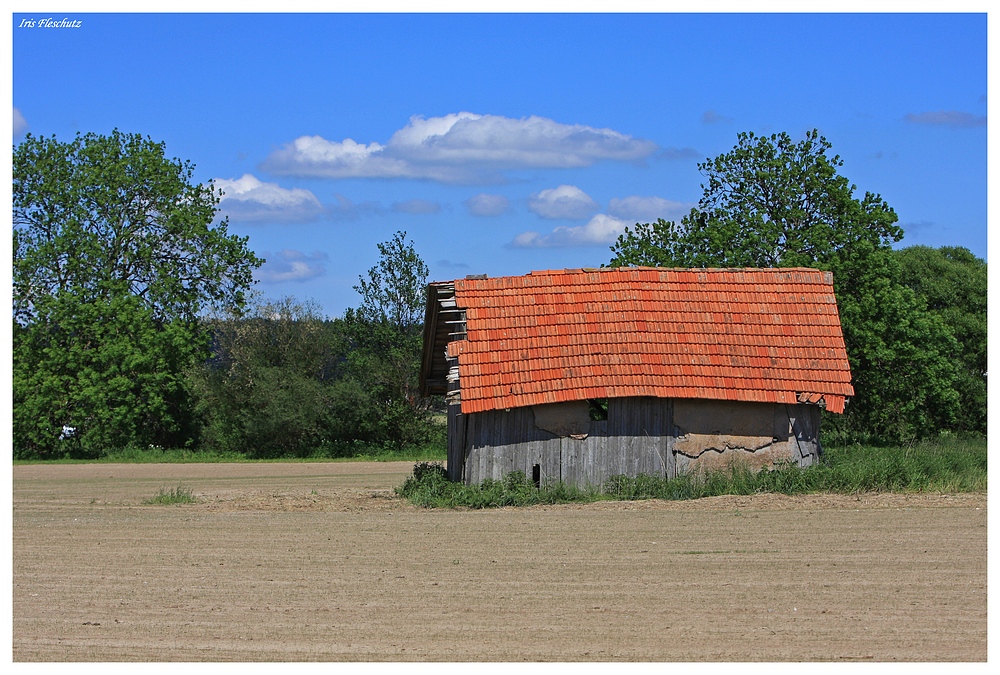 Mitten im Feld...