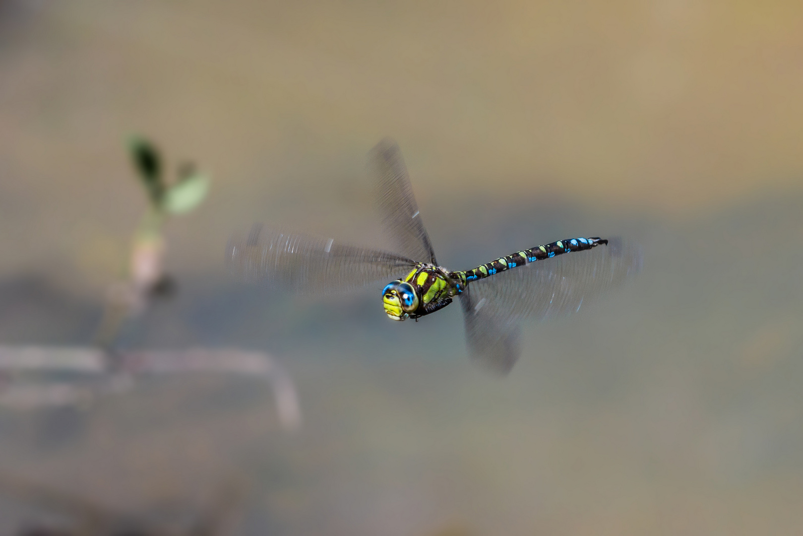 Mitten im Flug