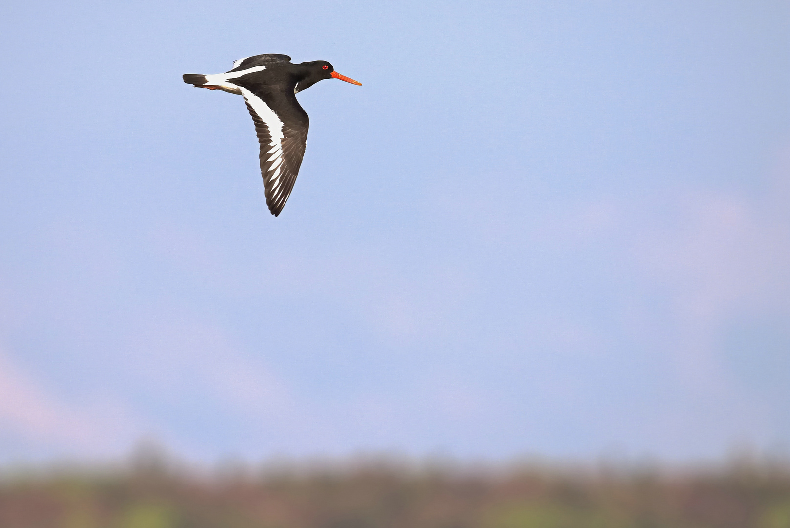 Mitten im Flug