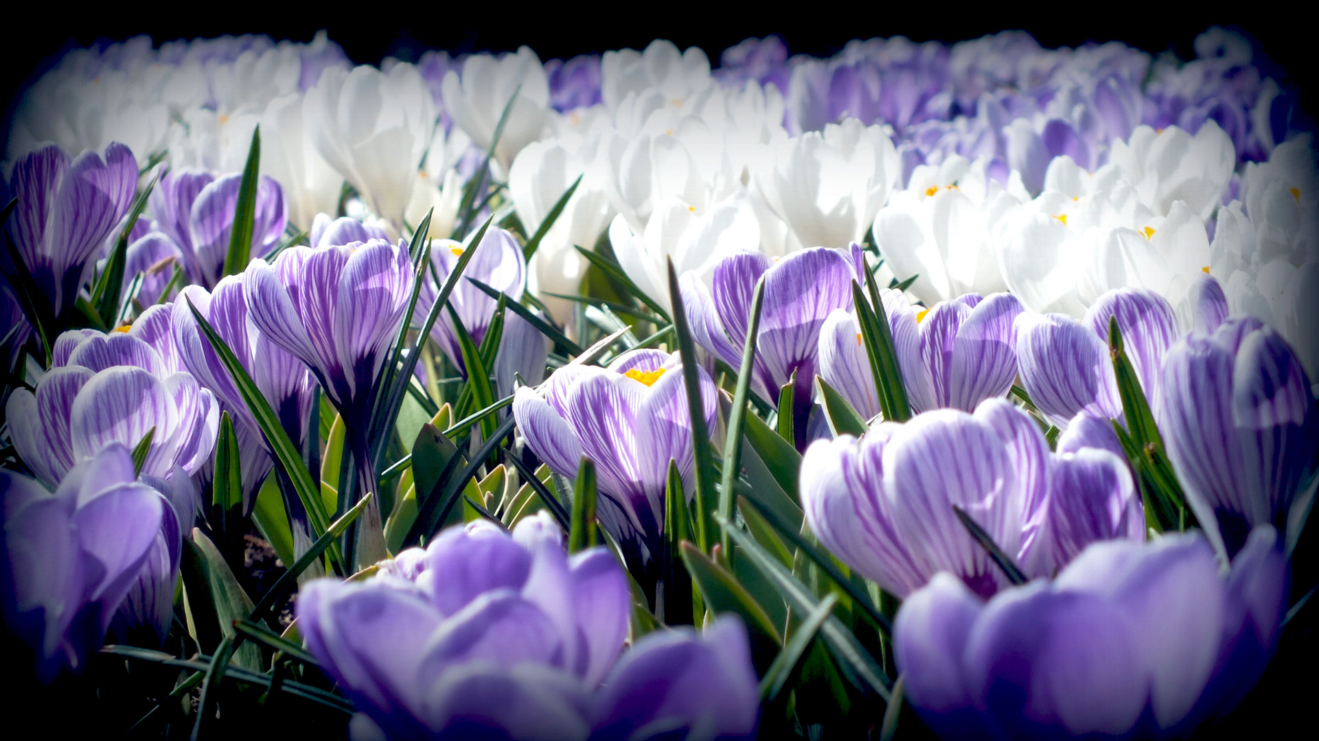 Mitten im Frühling