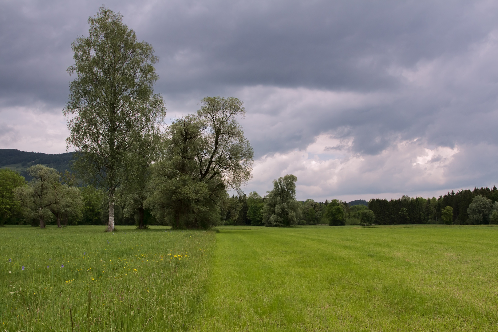 Mitten im Grün