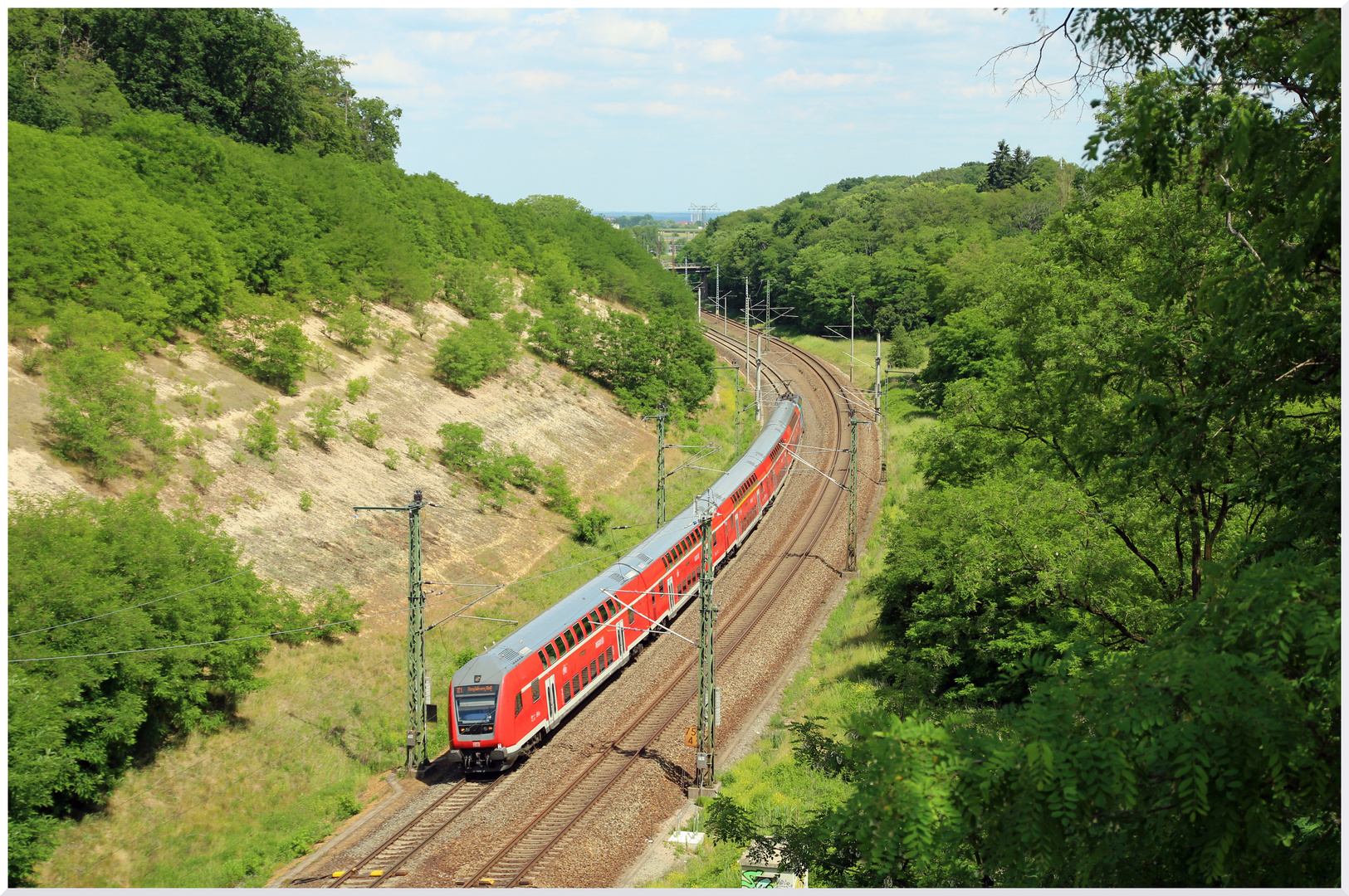 Mitten im Grünen