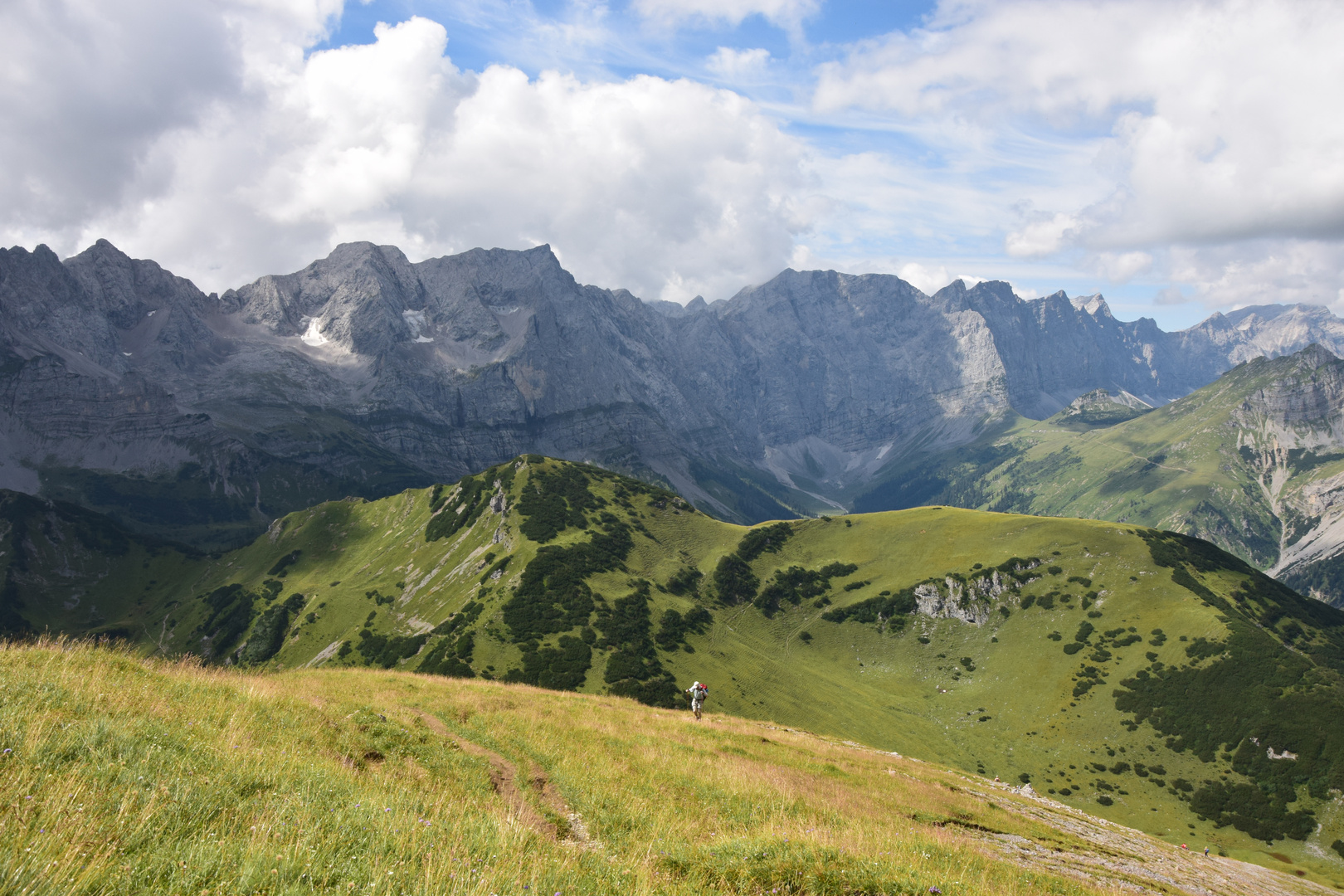 Mitten im Grünen