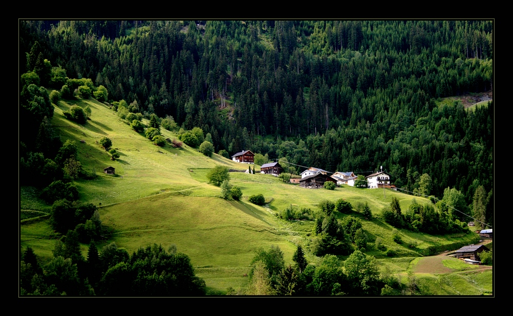 Mitten im Grünen... Tirol - See