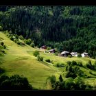 Mitten im Grünen... Tirol - See