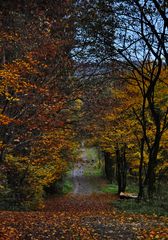 mitten im herbst