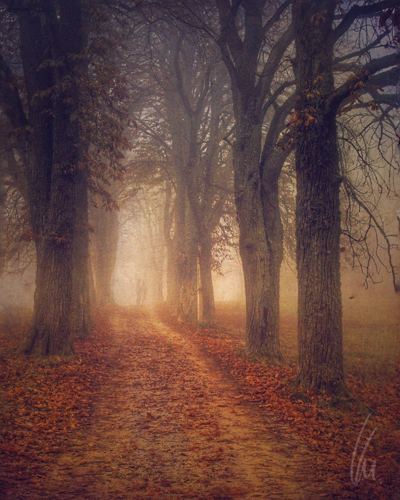 Mitten im Herbst. In the middle of autumn.