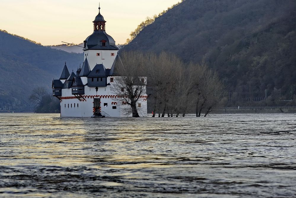 Mitten im Hochwasser des Rheins: Burg "Pfalzgrafenstein" bei Kaub by Gerhard Kalteyer 