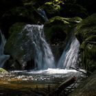 Mitten im Kaltbrunnental...