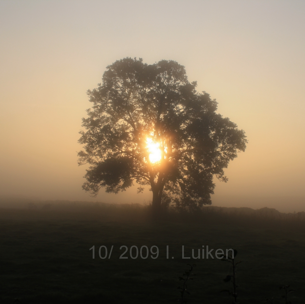 mitten im licht