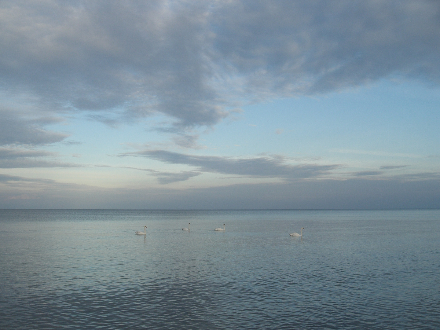 Mitten im Meer