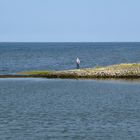 Mitten im Meer