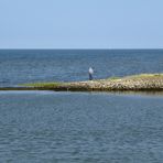 Mitten im Meer