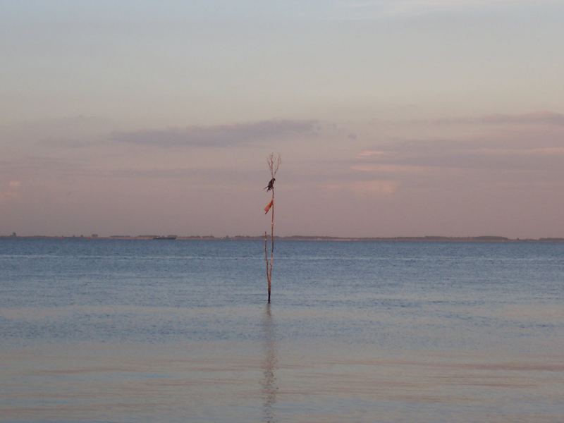 Mitten im Meer