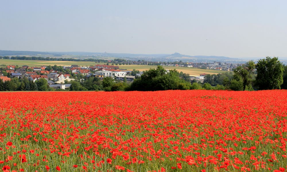 mitten im Mohnfeld mit Blick über Münchholzhausen