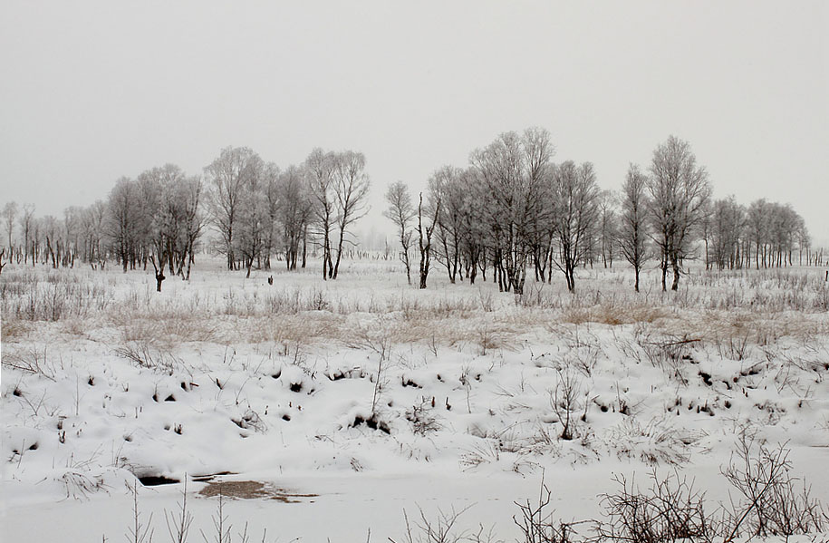 Mitten im Moor