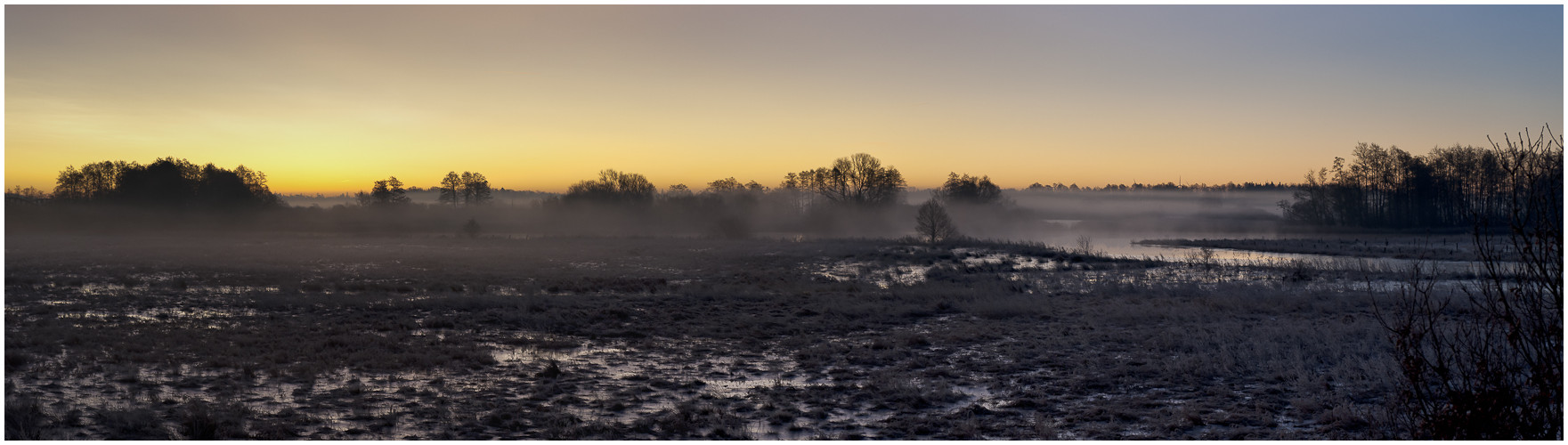 Mitten im Moor - kurz vor Sonnenaufgang