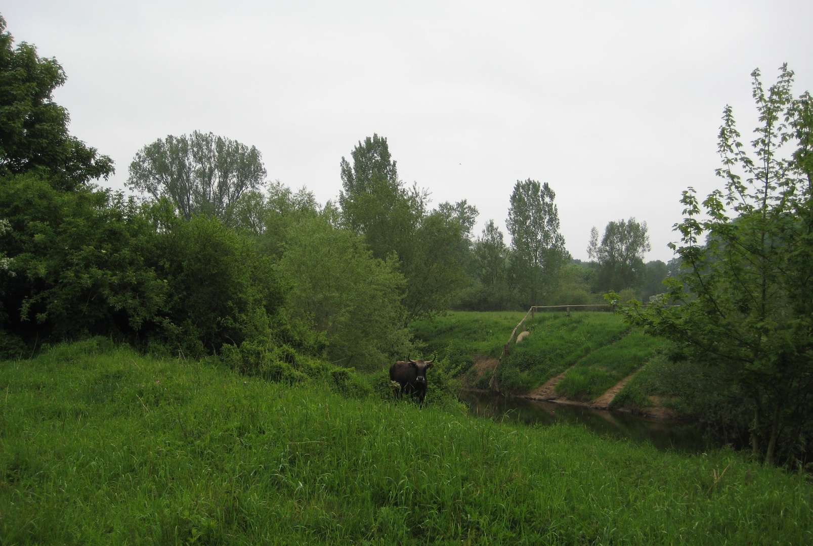 Mitten im Münsterland