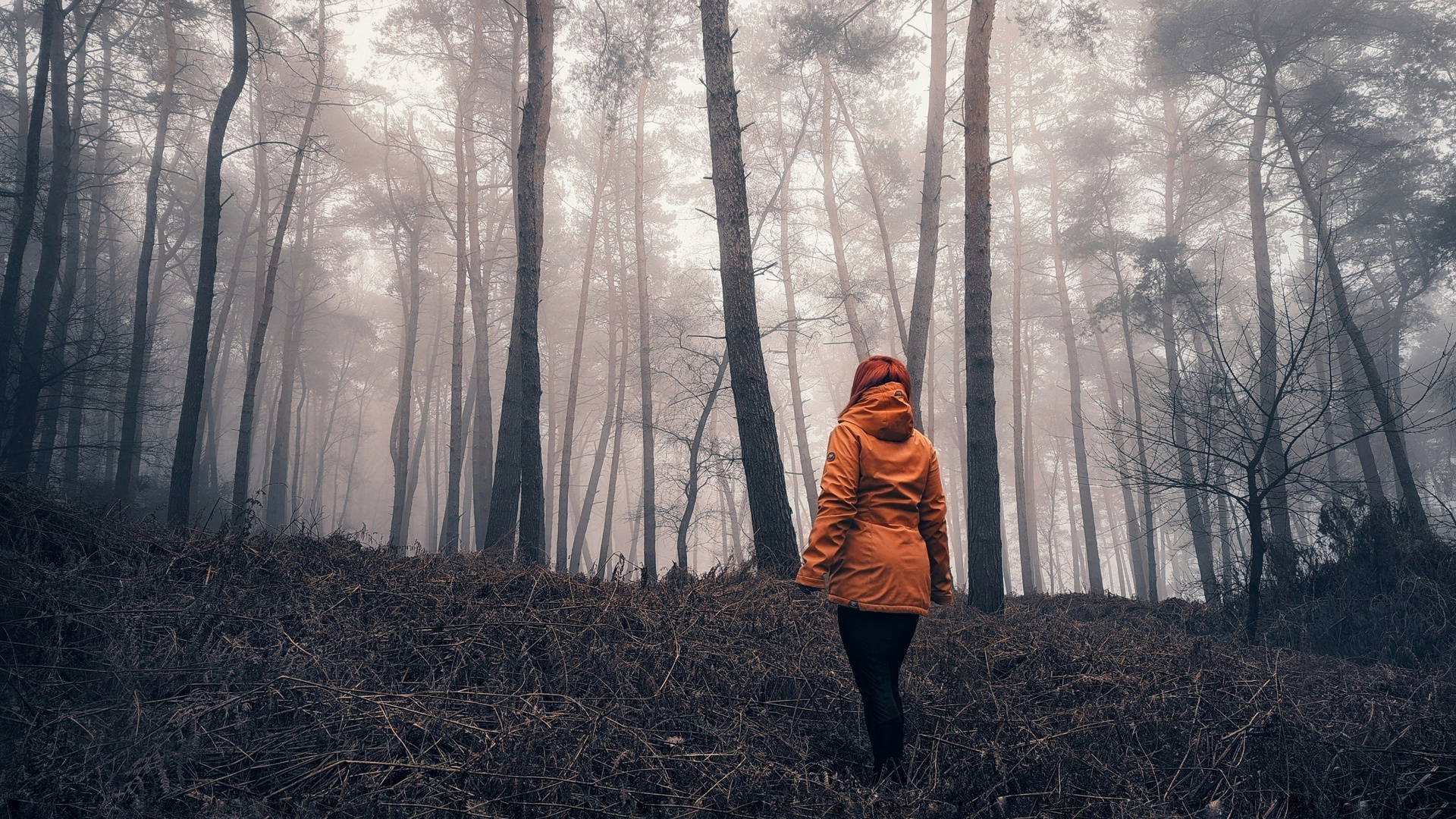 Mitten im Nebel