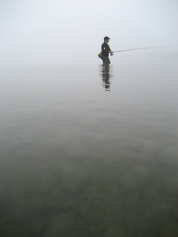 Mitten im Nebel